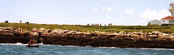Family members on tour to see the Puffins on Machias Seal Island